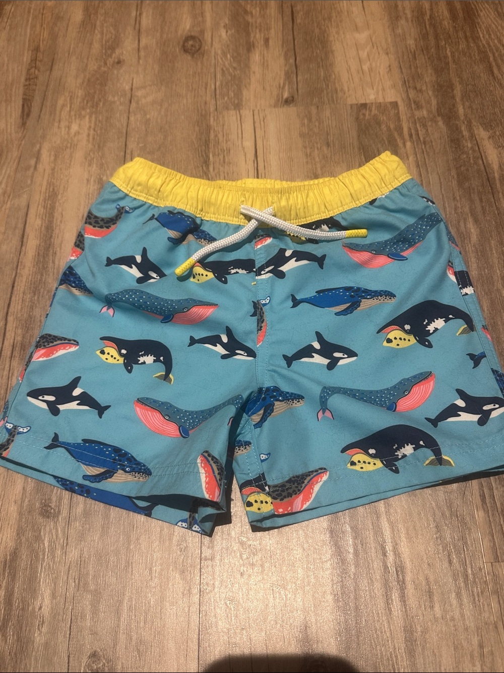 Mini Boden Swim Trunks